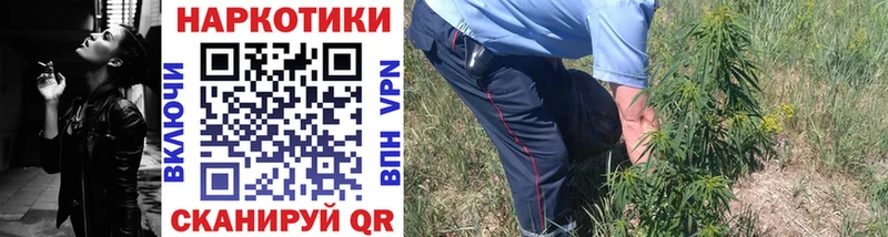 Где купить наркоту Бабаево Бошки Шишки КОКАИН ГАШ Псилоцибиновые грибы Меф мяу мяу