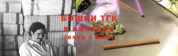 индика Армянск