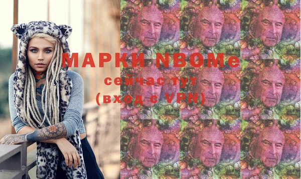 индика Армянск