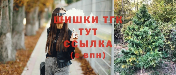 индика Армянск