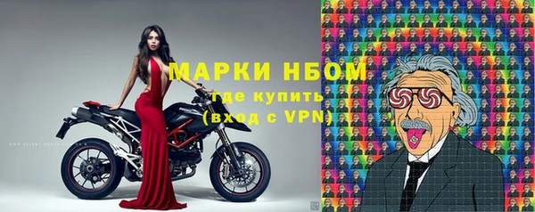 спиды Аркадак