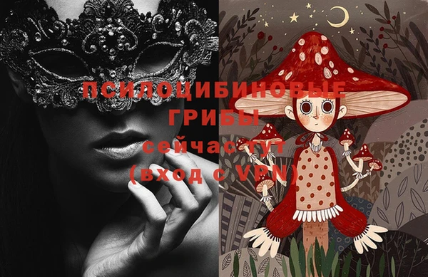 спиды Аркадак