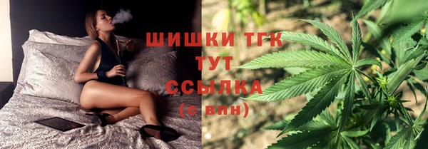 индика Армянск