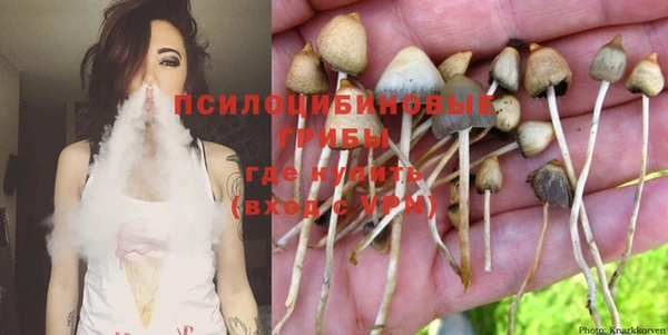 индика Армянск