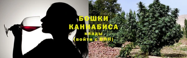 индика Армянск