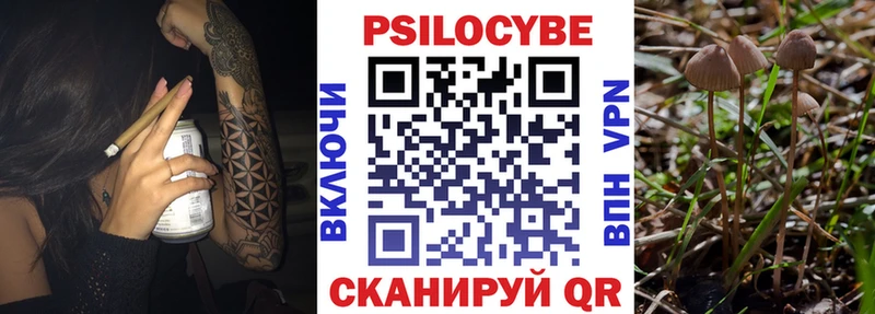 МЕГА зеркало  Бабаево  Галлюциногенные грибы Psilocybe  цены  